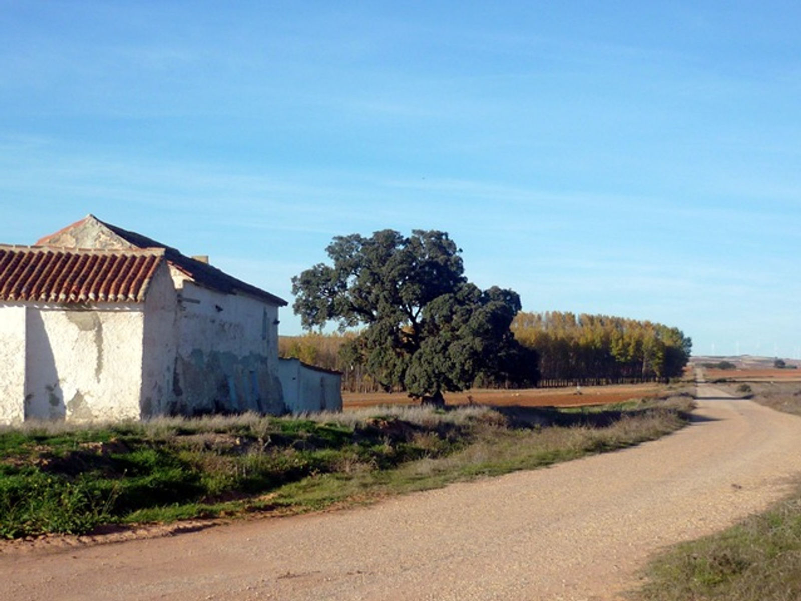 Con Delibes por Castilla
